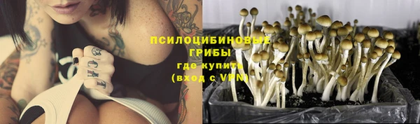 хмурый Алексеевка