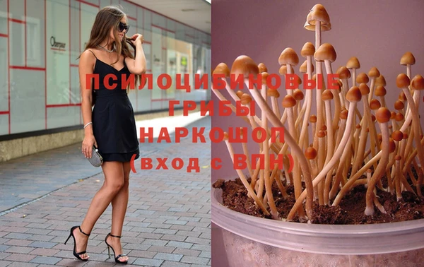 скорость mdpv Михайлов