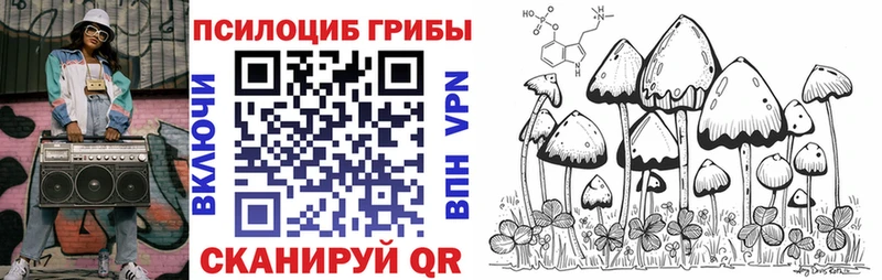 мега как зайти  Алексеевка  Галлюциногенные грибы Magic Shrooms 
